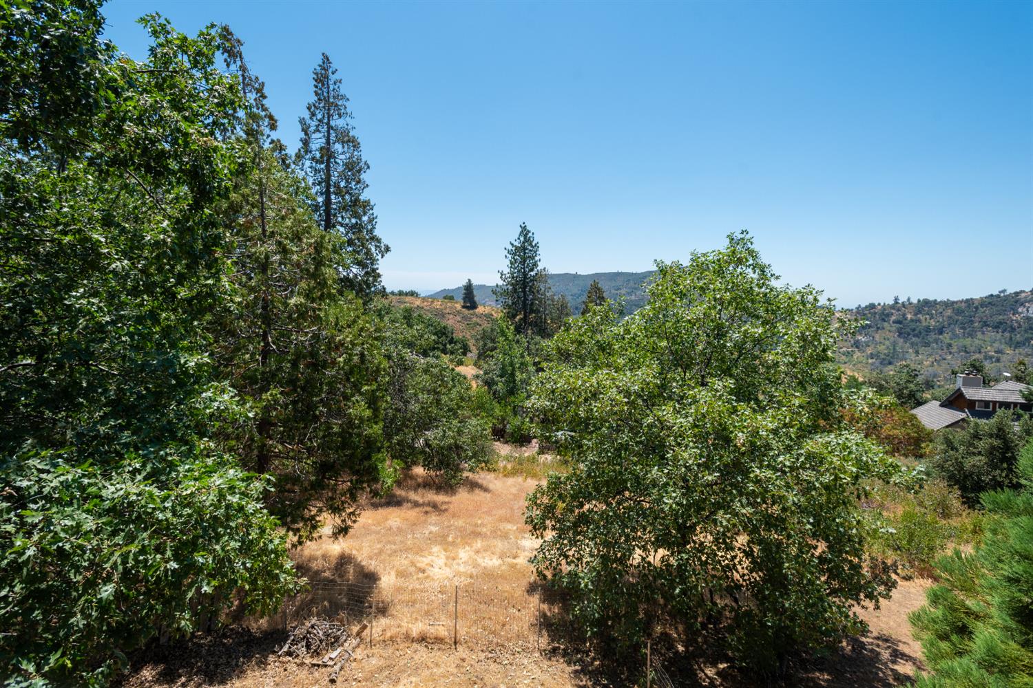 34075 Shaver Springs Road Auberry, CA 93602 - Photo 25 of 38 a view of a forest with a yard