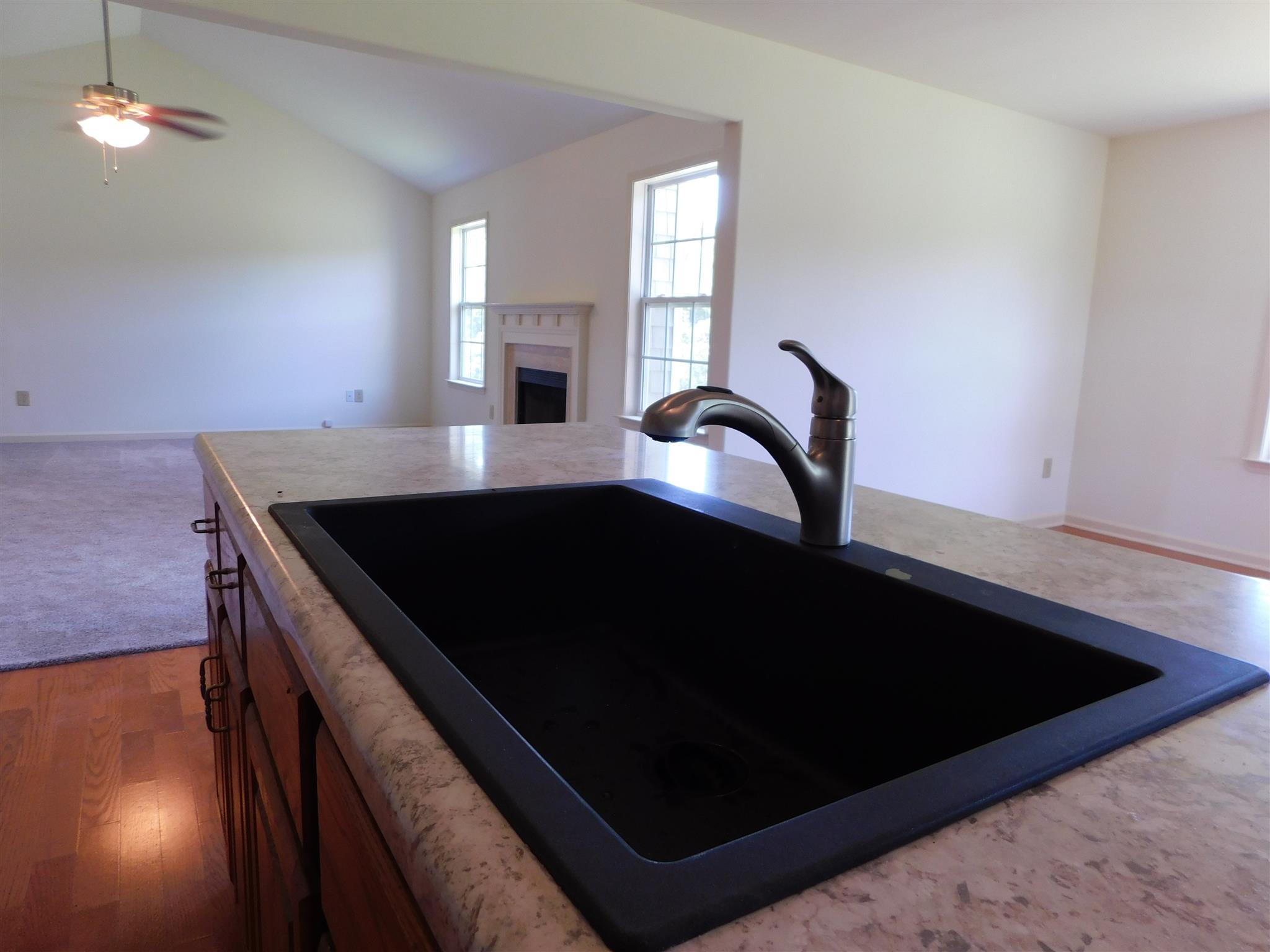 2115 Double Branch Road Columbia, TN 38401 - Photo 16 of 30 NEW BLACK TILE KITCHEN SINK