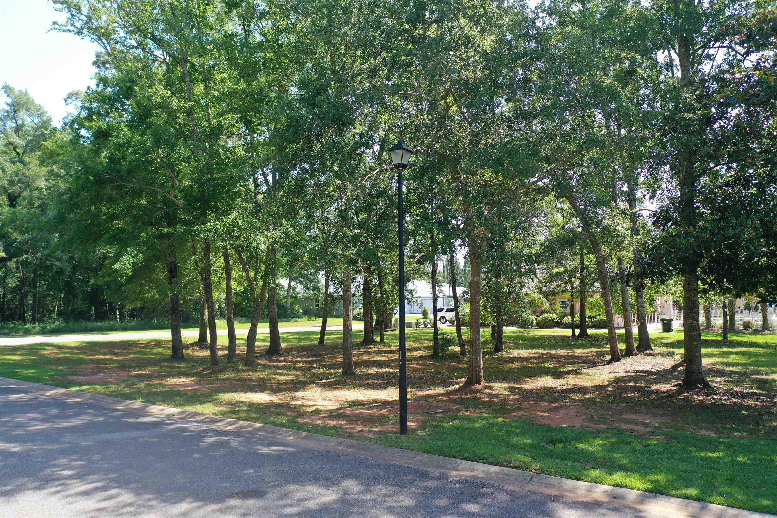 Lot 45 Reunion Place Foley, AL 36535 - Photo 10 of 14