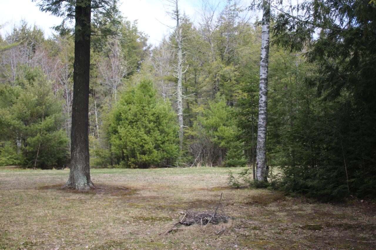 Lot 5 Long Point Conover, WI 54519 - Photo 11 of 13 Gallery Image 11