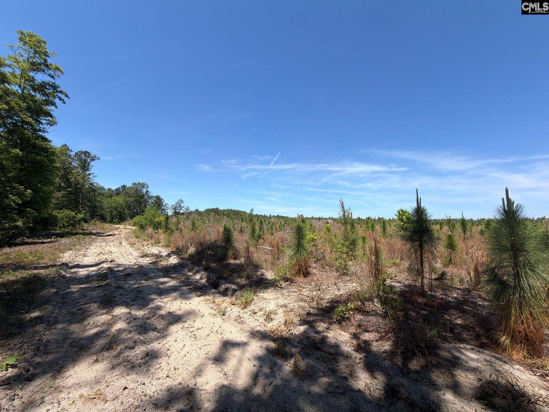 1 Holstein Road Monetta, SC 29105 - Photo 29 of 36