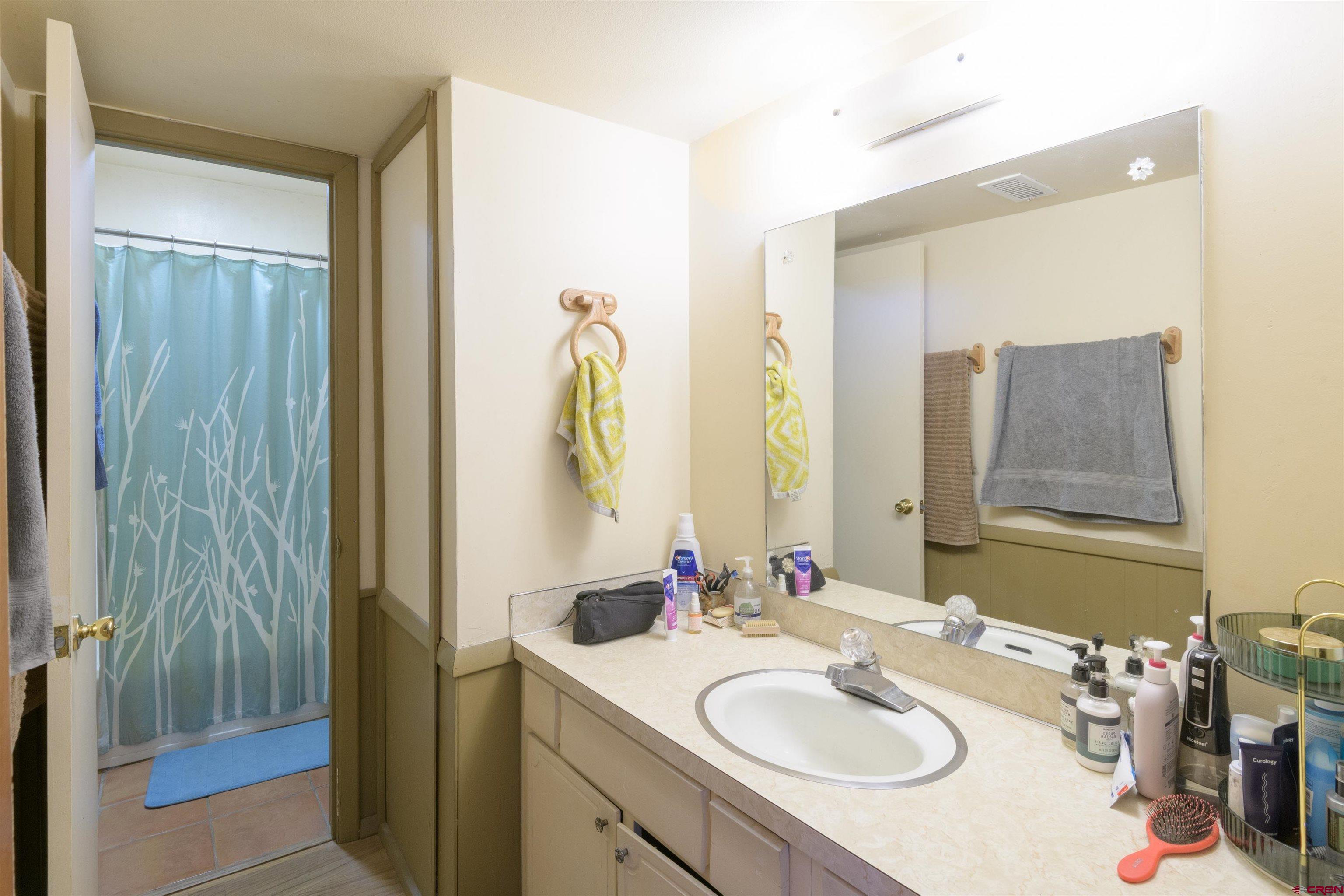 251 Gothic Road, Unit 4 Crested Butte, CO 81225 - Photo 17 of 22 Gallery Image 17