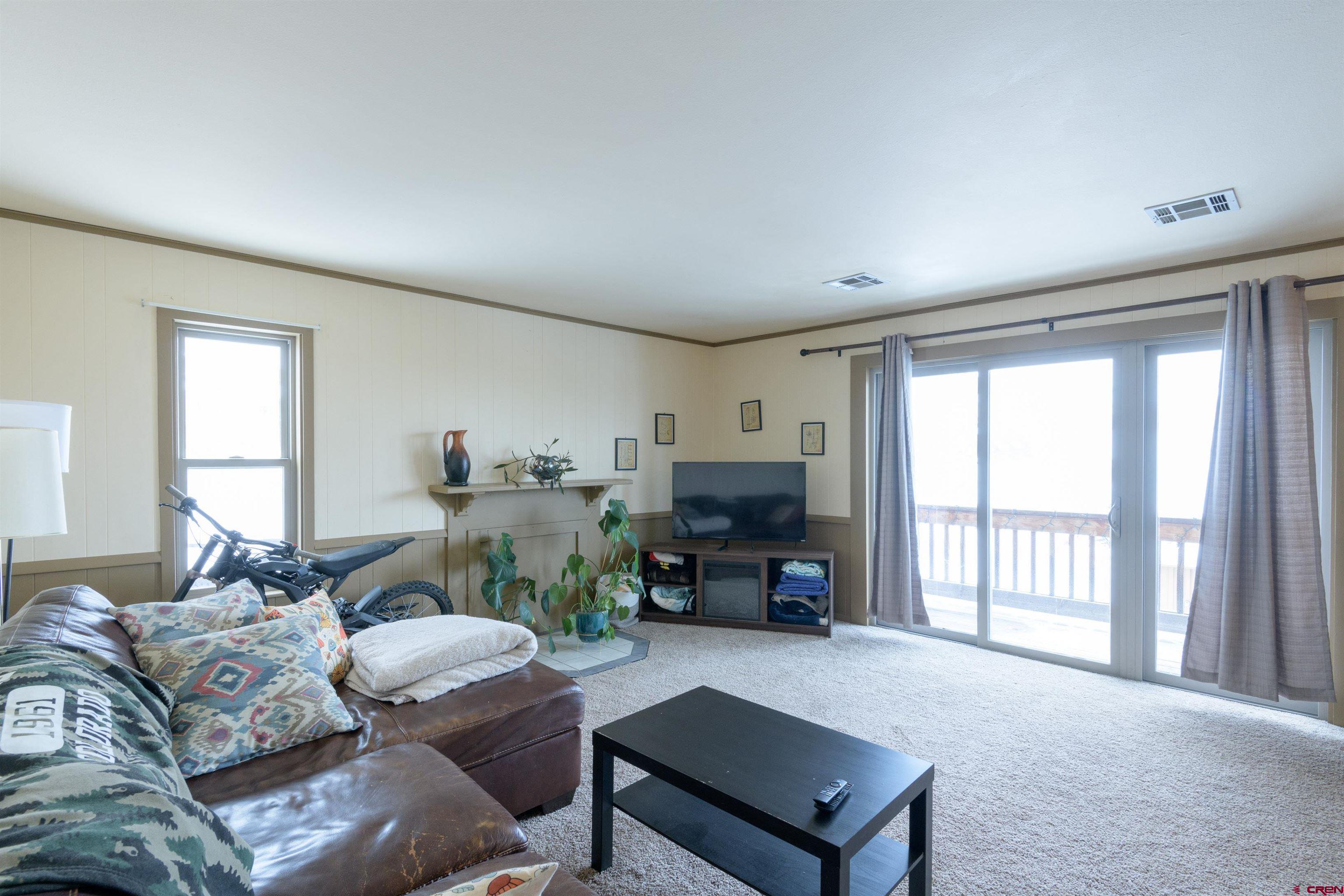251 Gothic Road, Unit 4 Crested Butte, CO 81225 - Photo 5 of 22 Gallery Image 5