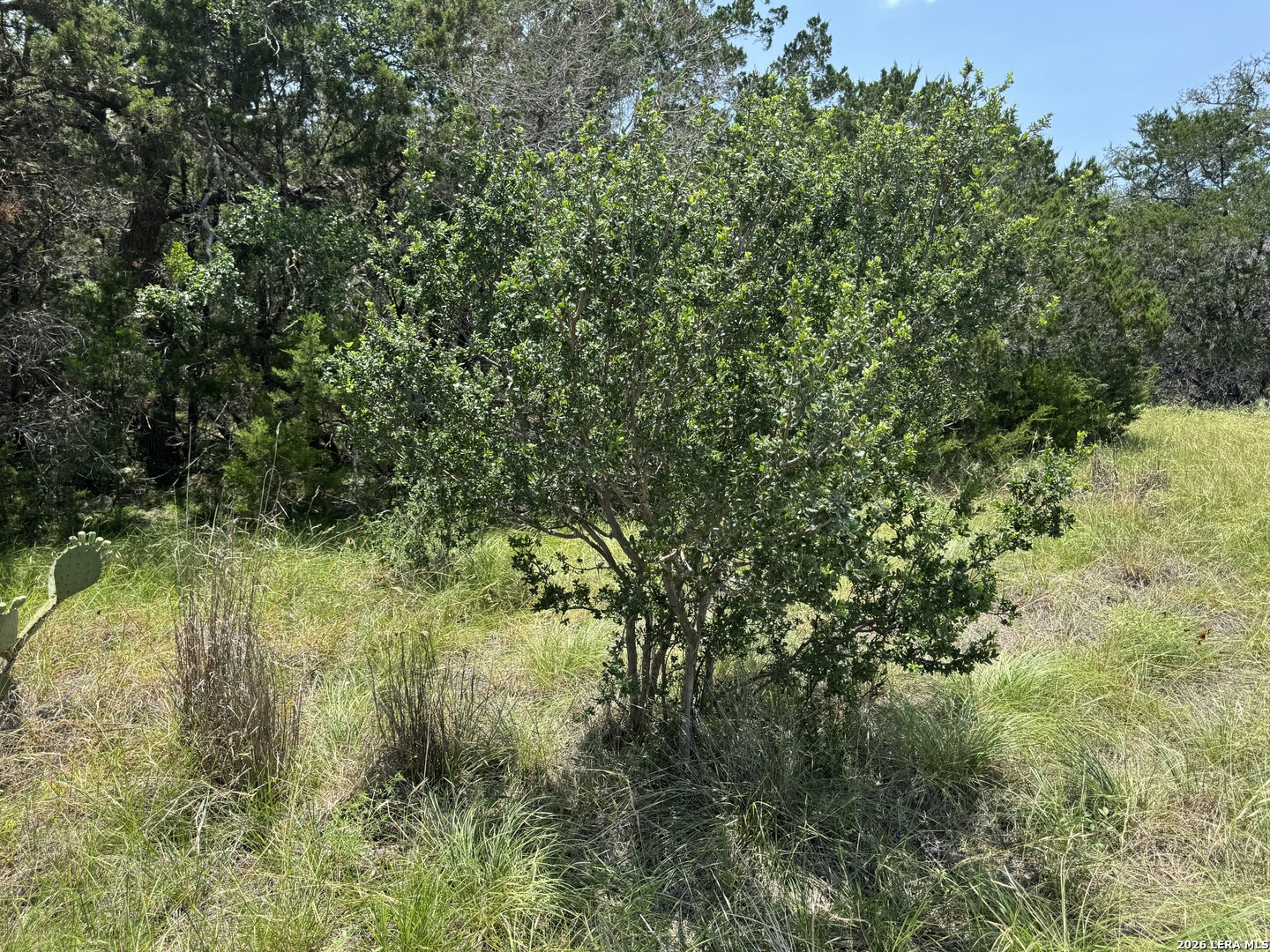 232 High Point Circle Spring Branch, TX 78070 - Photo 9 of 14