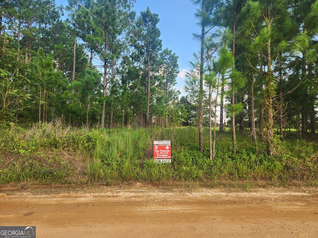 719 Adams Road Uvalda, GA 30473 - Photo 1 of 1 Main View