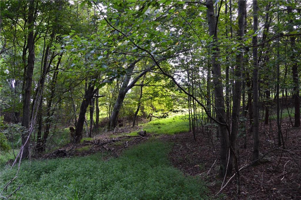 2 Hanging Rock Forest Road, Unit TRACT E (10 8) Danbury, NC 27016 - Photo 1 of 26