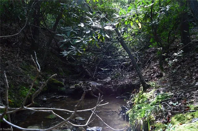 $145,000 | 2 Hanging Rock Forest Road, Unit TRACT E (10 8), Danbury, NC 27016