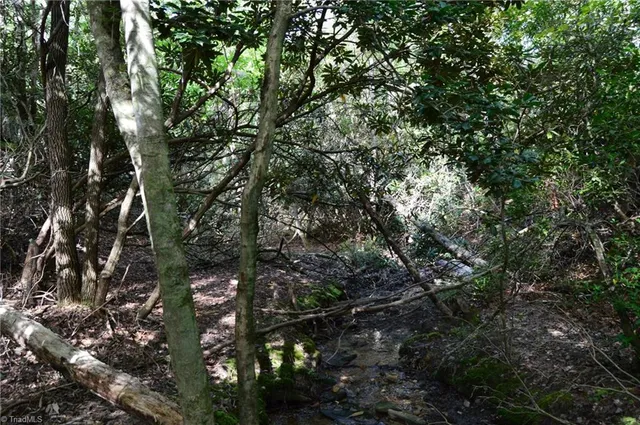 $145,000 | 2 Hanging Rock Forest Road, Unit TRACT E (10 8), Danbury, NC 27016