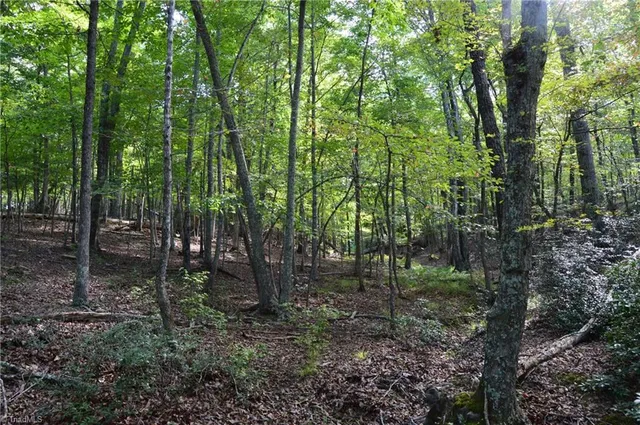 $145,000 | 2 Hanging Rock Forest Road, Unit TRACT E (10 8), Danbury, NC 27016