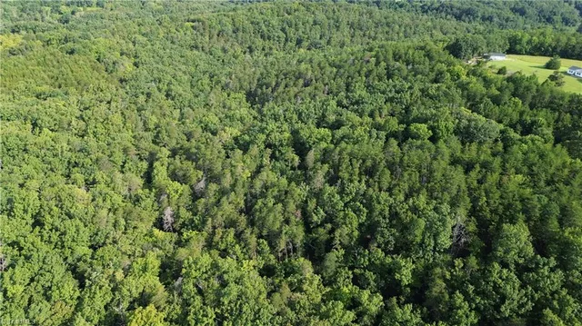 $145,000 | 2 Hanging Rock Forest Road, Unit TRACT E (10 8), Danbury, NC 27016