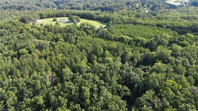 $145,000 | 2 Hanging Rock Forest Road, Unit TRACT E (10 8), Danbury, NC 27016