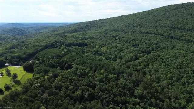 $145,000 | 2 Hanging Rock Forest Road, Unit TRACT E (10 8), Danbury, NC 27016