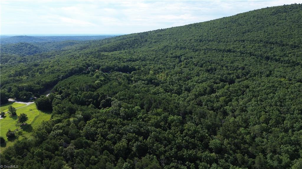 2 Hanging Rock Forest Road, Unit TRACT E (10 8) Danbury, NC 27016 - Photo 22 of 26