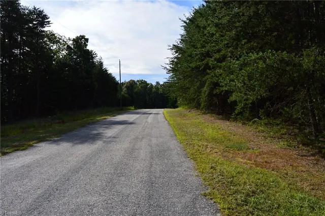 $145,000 | 2 Hanging Rock Forest Road, Unit TRACT E (10 8), Danbury, NC 27016