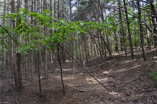 $145,000 | 2 Hanging Rock Forest Road, Unit TRACT E (10 8), Danbury, NC 27016