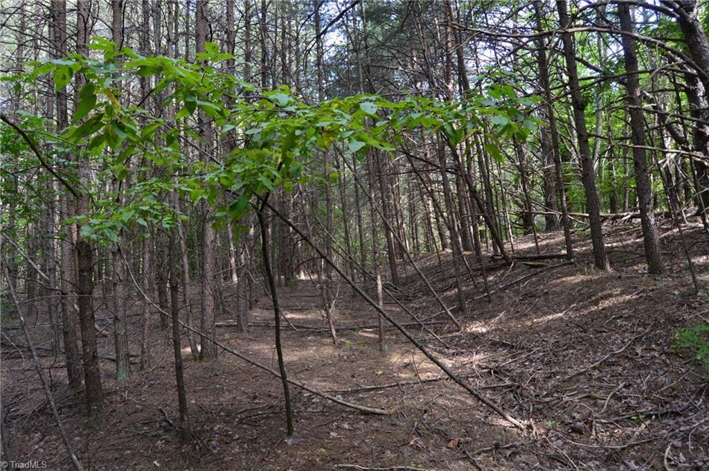 2 Hanging Rock Forest Road, Unit TRACT E (10 8) Danbury, NC 27016 - Photo 4 of 26