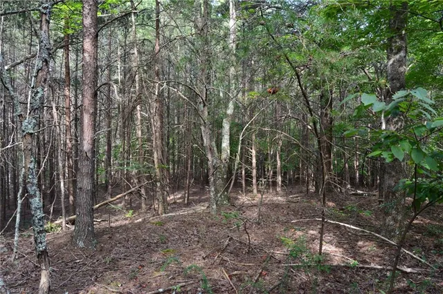 $145,000 | 2 Hanging Rock Forest Road, Unit TRACT E (10 8), Danbury, NC 27016