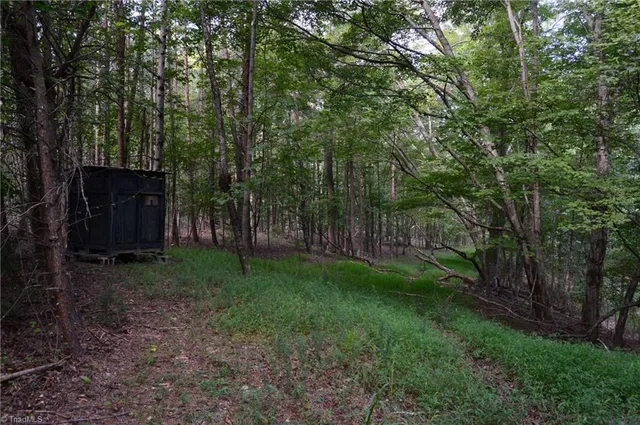 $145,000 | 2 Hanging Rock Forest Road, Unit TRACT E (10 8), Danbury, NC 27016