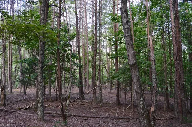 $145,000 | 2 Hanging Rock Forest Road, Unit TRACT E (10 8), Danbury, NC 27016