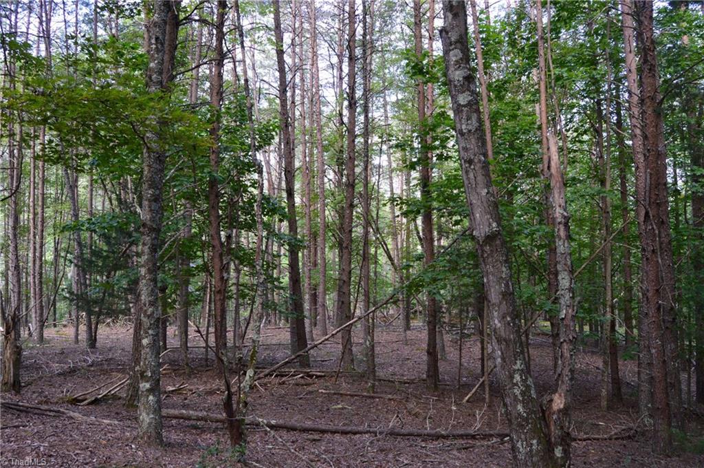 2 Hanging Rock Forest Road, Unit TRACT E (10 8) Danbury, NC 27016 - Photo 9 of 26