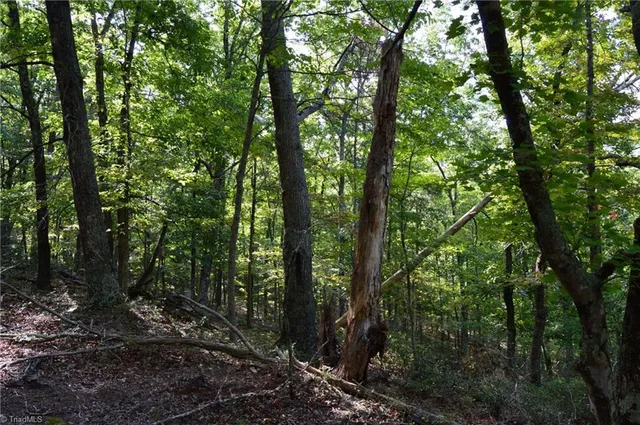 $145,000 | 2 Hanging Rock Forest Road, Unit TRACT E (10 8), Danbury, NC 27016