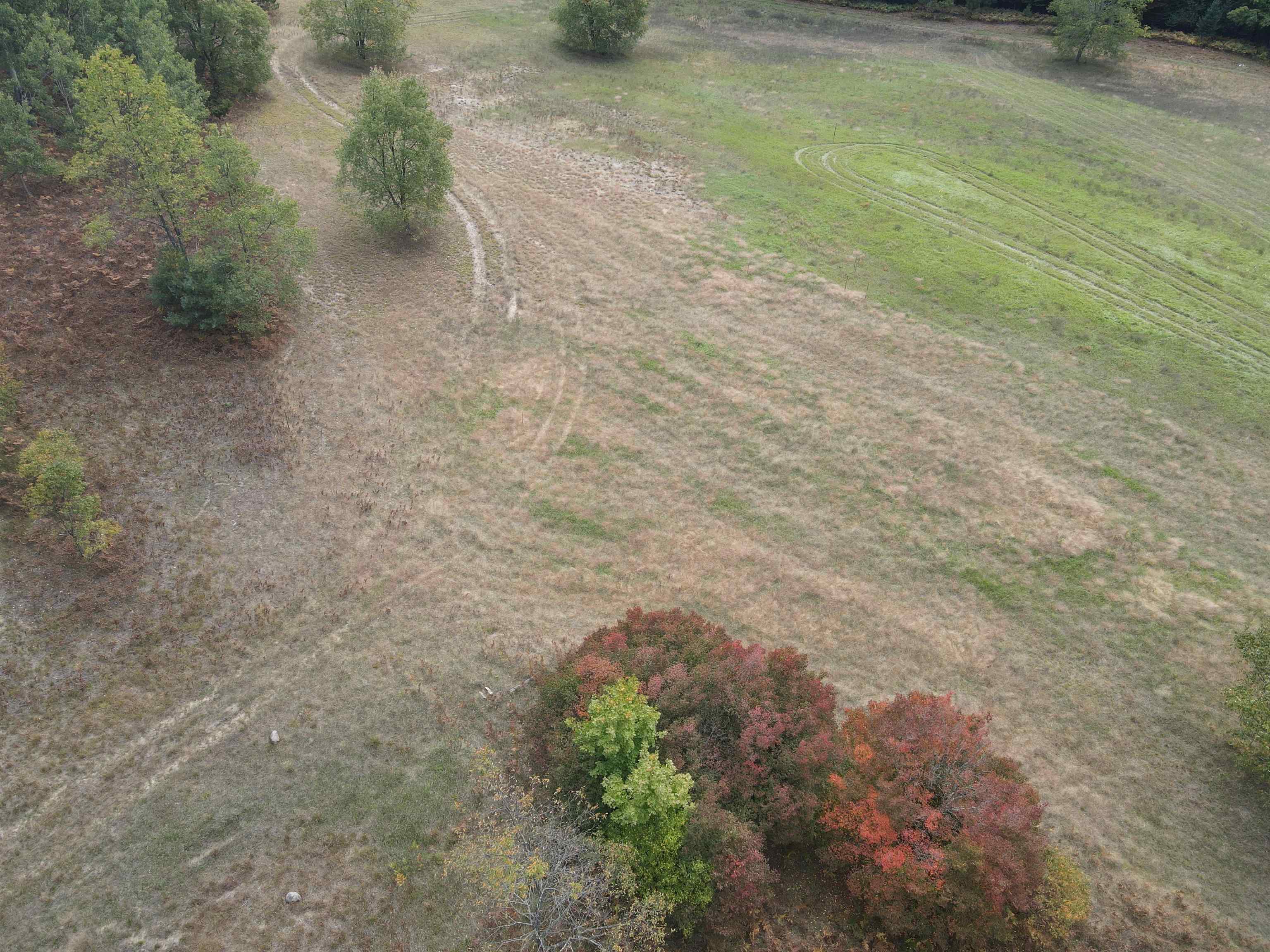 90 A Ridgeview Drive Kalkaska, MI 49646 - Photo 10 of 75