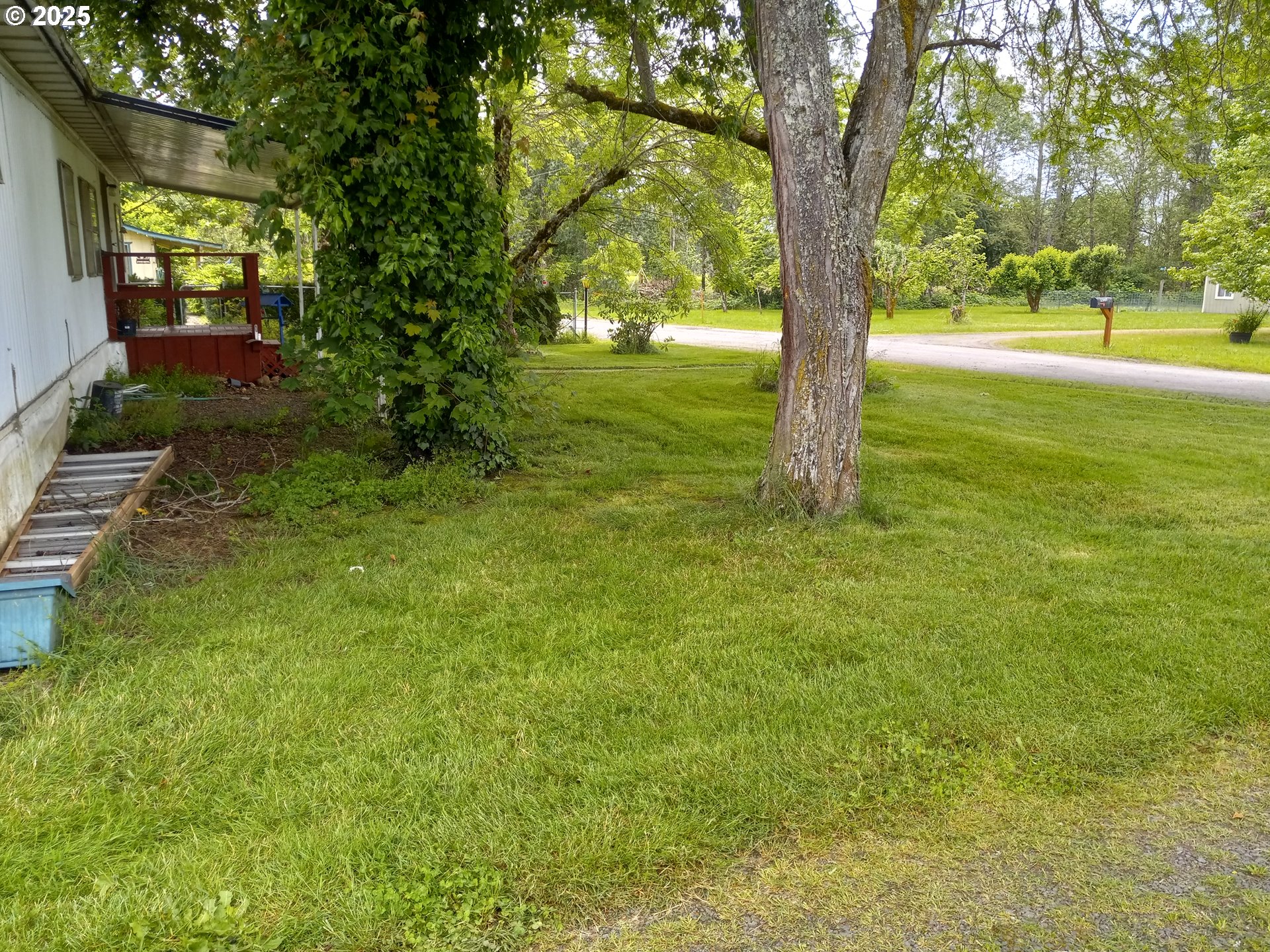 32604 South Krupicka Way Molalla, OR 97038 - Photo 18 of 18 a view of a yard with a trees