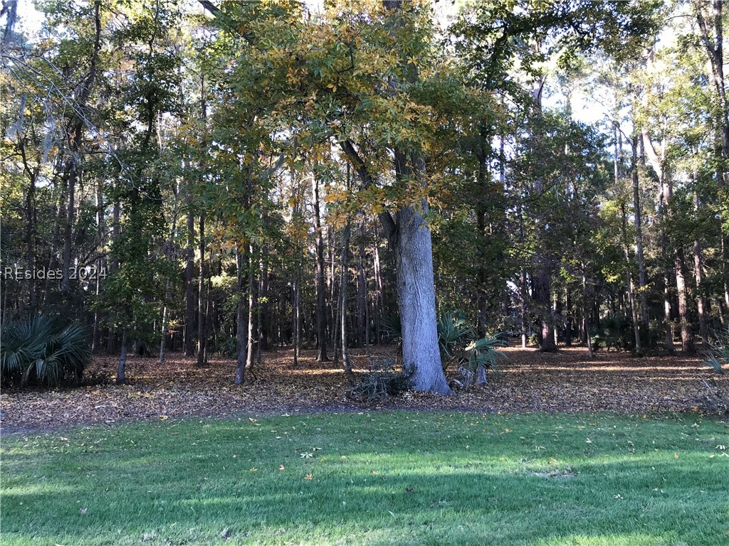1090 Haig Point Road Daufuskie Island, SC 29915 - Photo 7 of 8