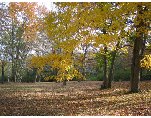 324 Old Ayer Road Groton, MA 01450 - Photo 10 of 13 Gallery Image 10