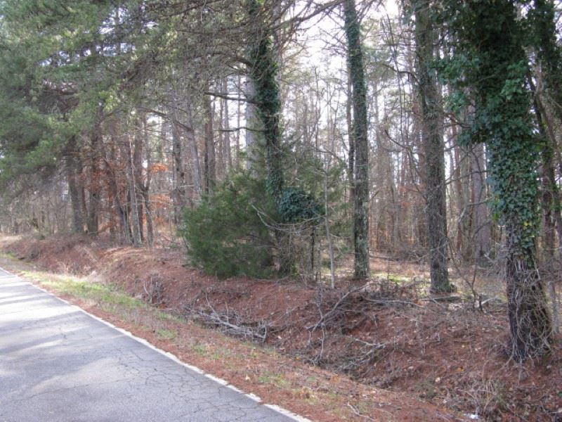 355 State Rd S-42-2115 Campobello, SC 29322 - Photo 3 of 5