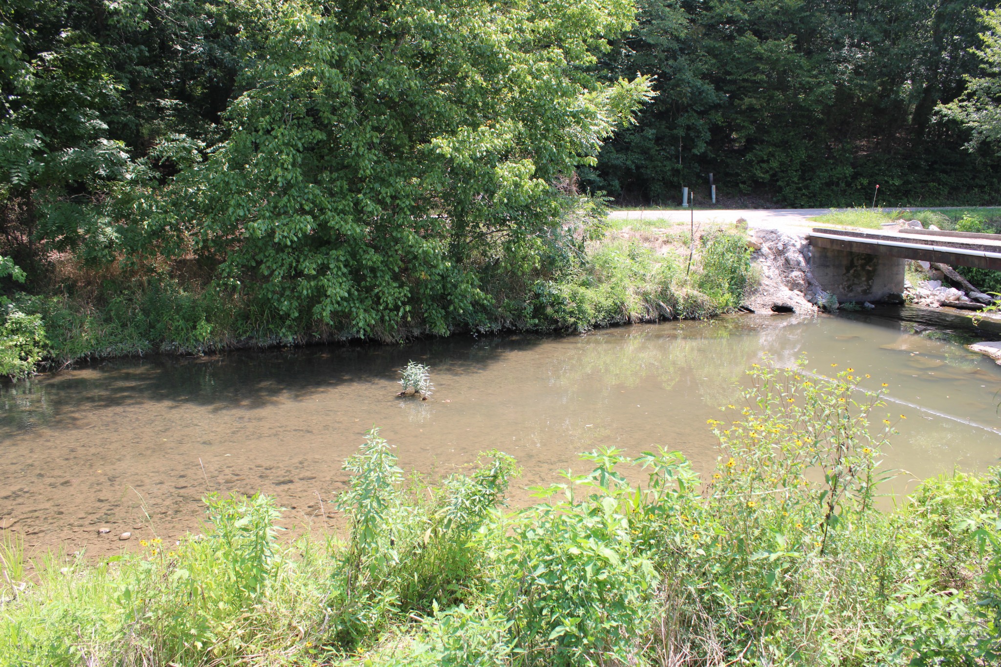 0 Shoal Creek Road Minor Hill, TN 38473 - Photo 4 of 7 a backyard of a house with green space and outdoor seating
