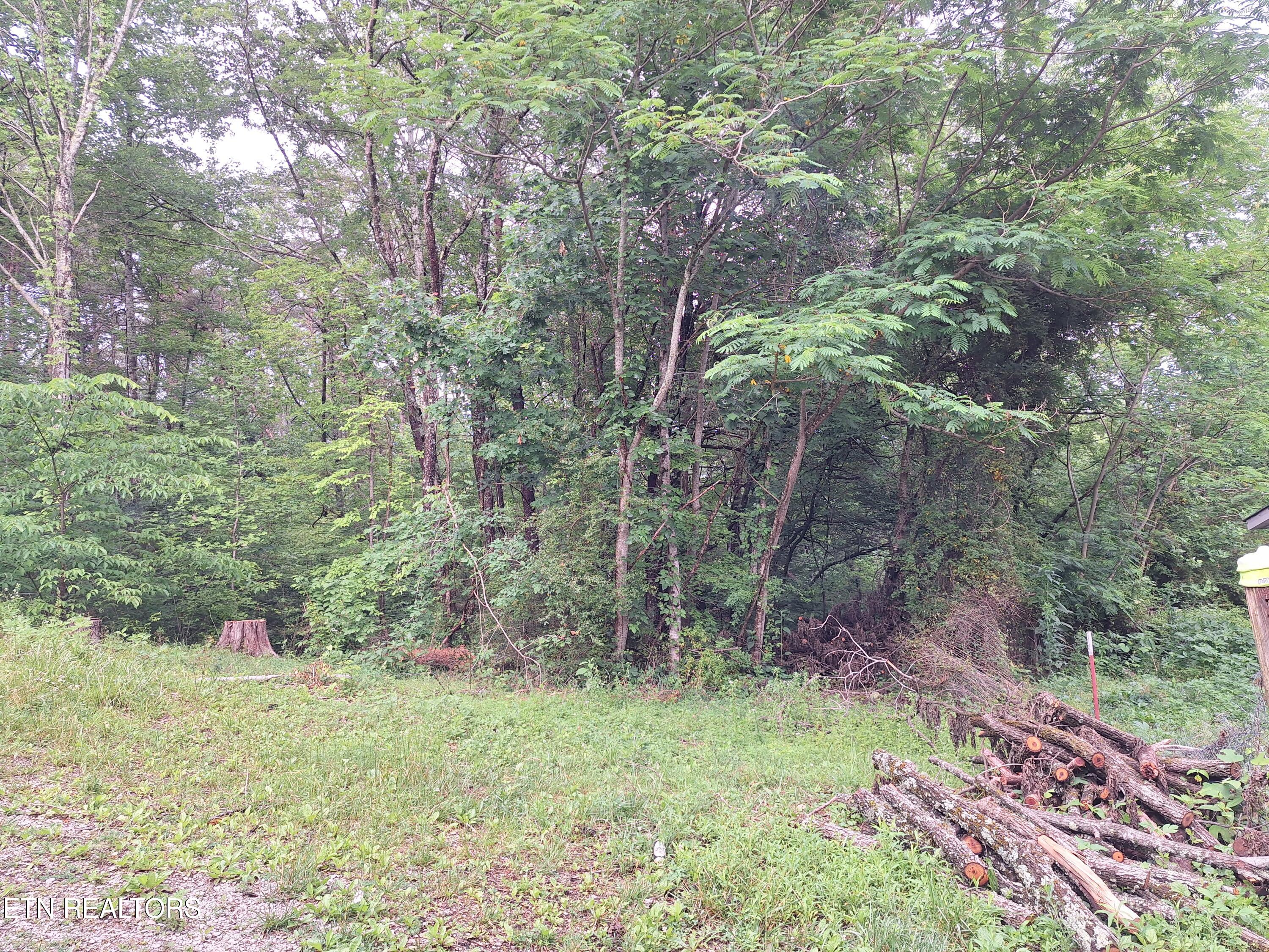 160 Mountain Road Tellico Plains, TN 37385 - Photo 7 of 10 20260521_181236
