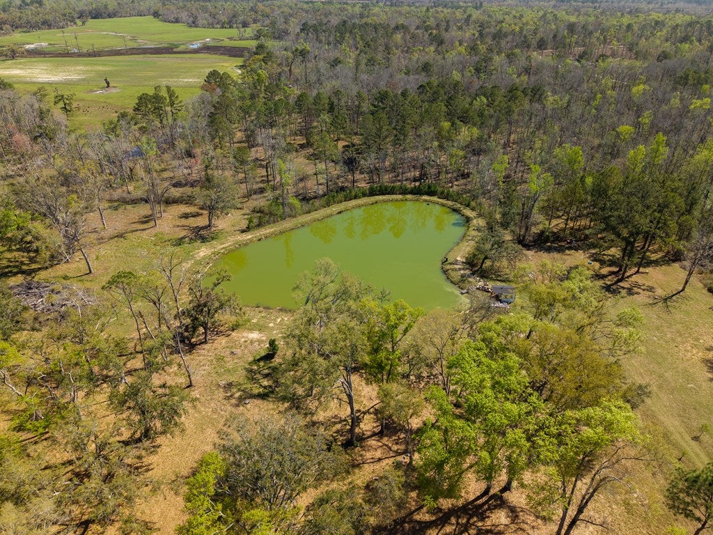 92 Purvis Lane Naylor, GA 31641 - Photo 68 of 80 Gallery Image 68
