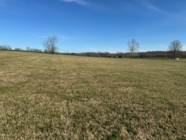 0 Bob Wilks Road Springfield, TN 37172 - Photo 1 of 3 Gallery Image 1