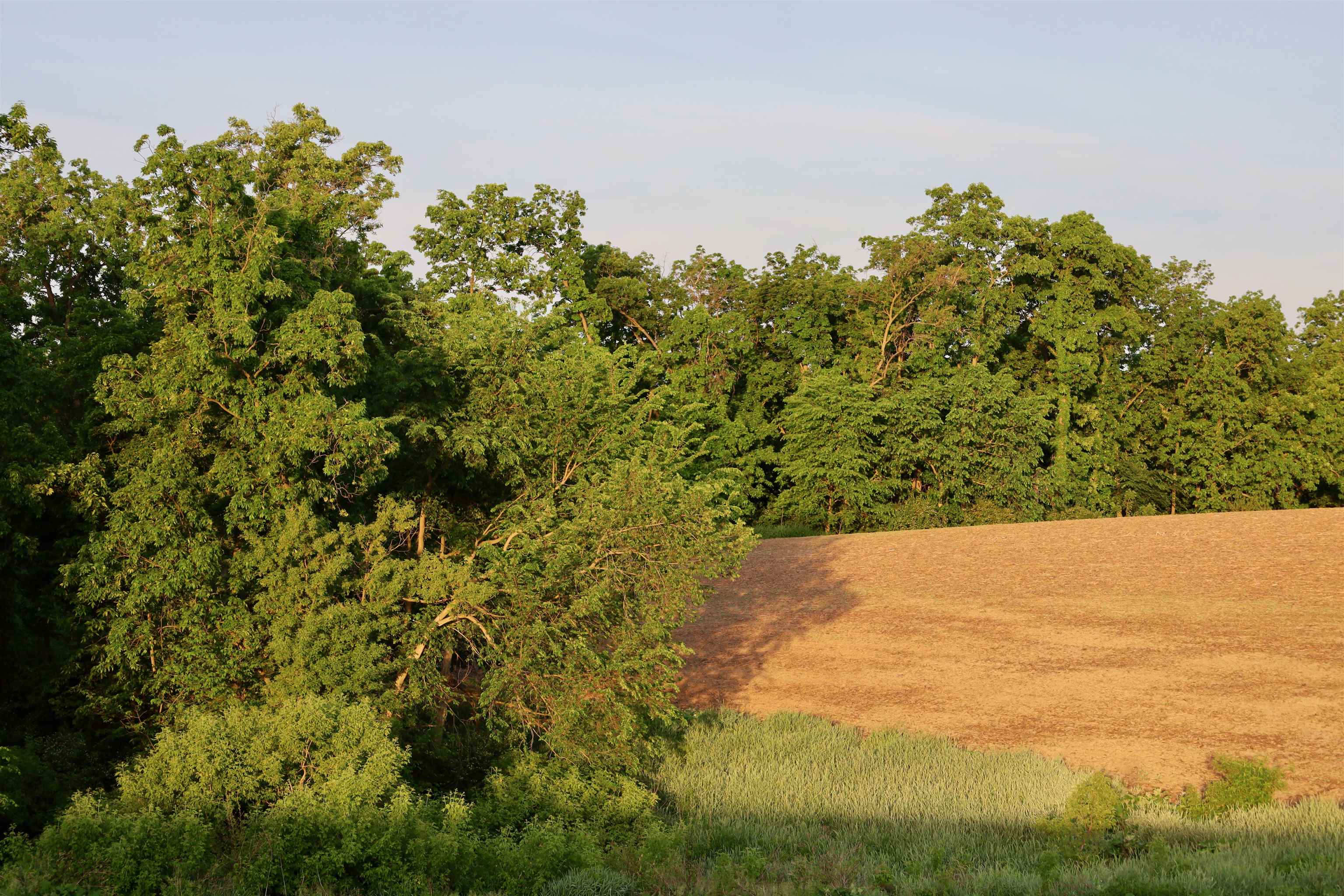 0 County T Boscobel, WI 53805 - Photo 25 of 30