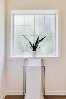 a view of a potted plant in front of a door