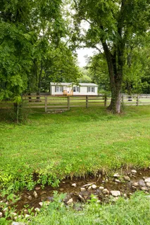 a view of a garden with trees