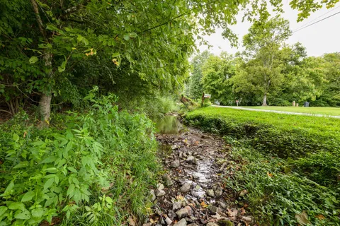 a view of a lush green space