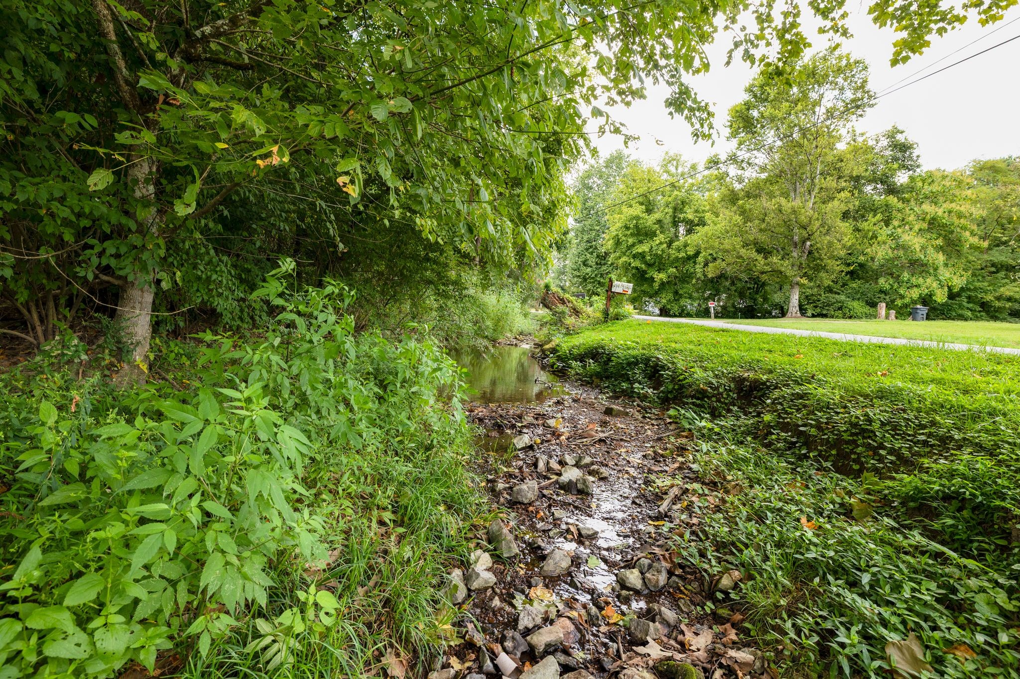 3921 Johnson Hollow Road Thompson's Station, TN 37179 - Photo 29 of 38 a view of a lush green space