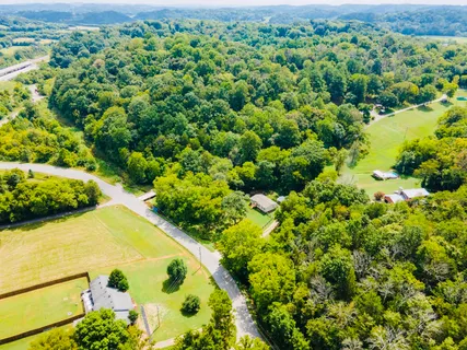 a view of a large yard with lots of green space