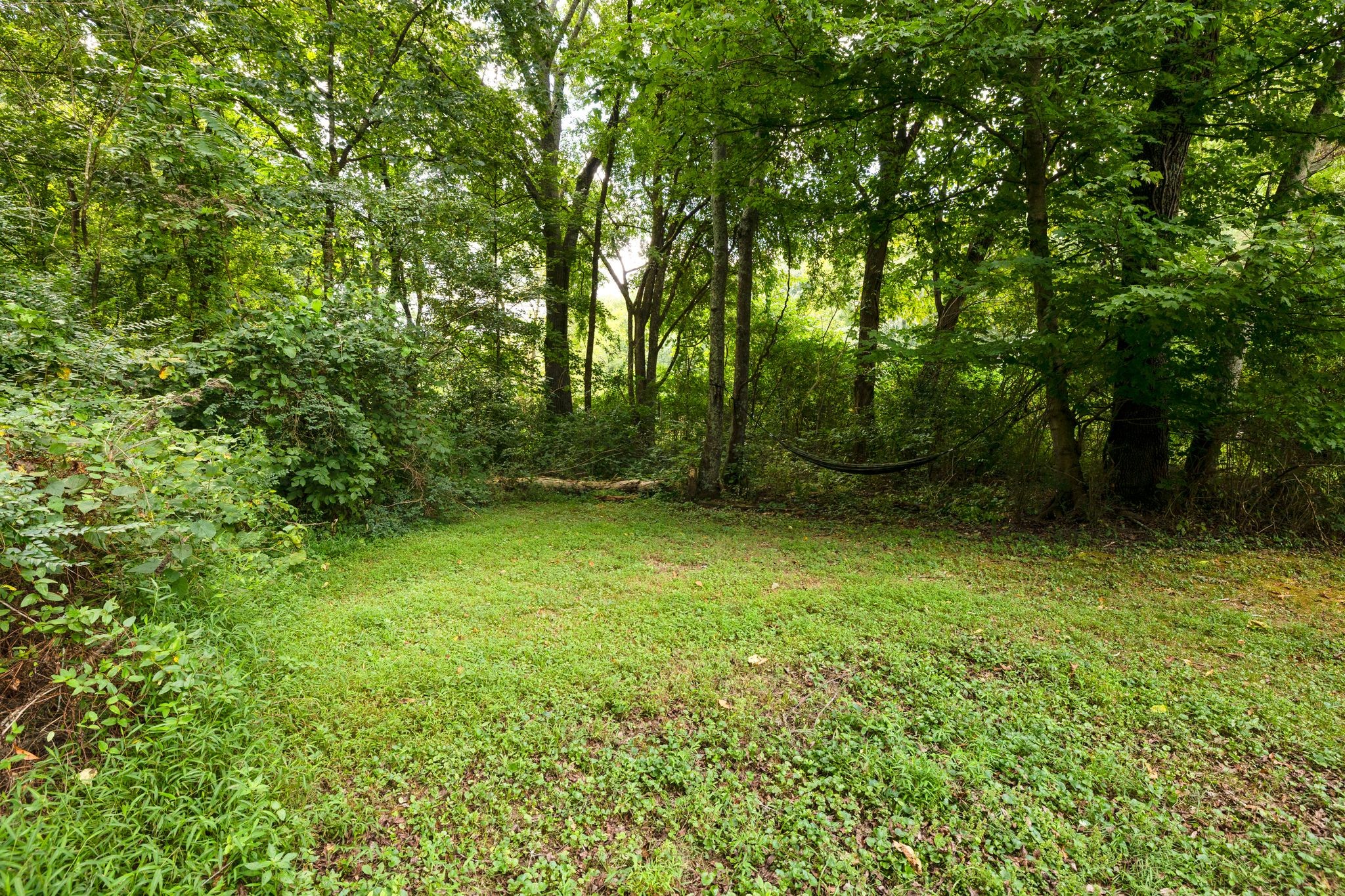 3921 Johnson Hollow Road Thompson's Station, TN 37179 - Photo 31 of 38 a view of outdoor space and yard