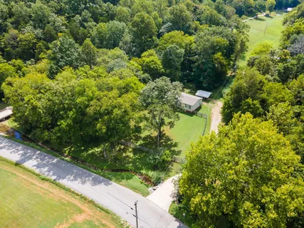 a view of a garden with plants