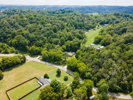 a view of a field with a tree