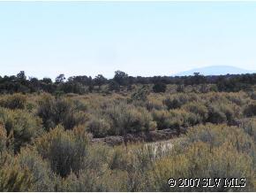 702 Montezuma Road Fort Garland, CO 81133 - Photo 9 of 9 Gallery Image 9