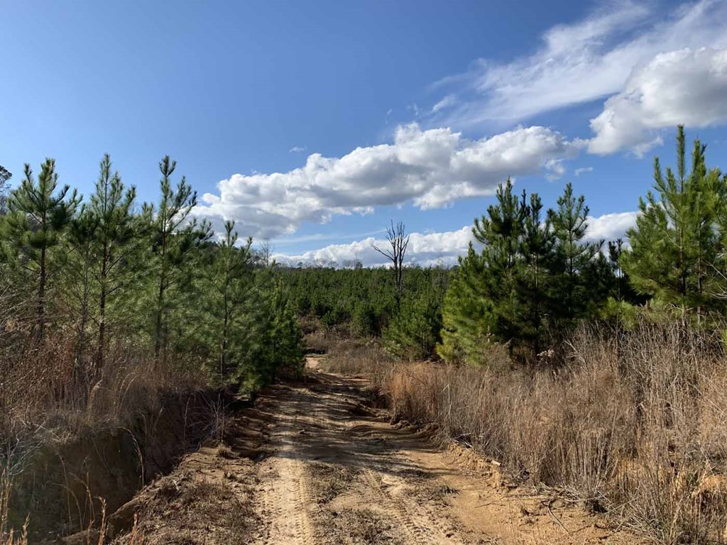 3300 Pepper House Road Gloster, MS 39638 - Photo 13 of 42 Photo 13
