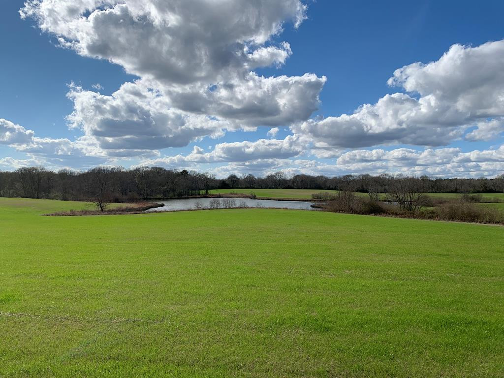 3300 Pepper House Road Gloster, MS 39638 - Photo 16 of 42 Photo 16
