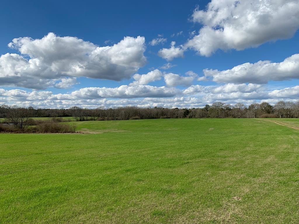 3300 Pepper House Road Gloster, MS 39638 - Photo 18 of 42 Photo 18