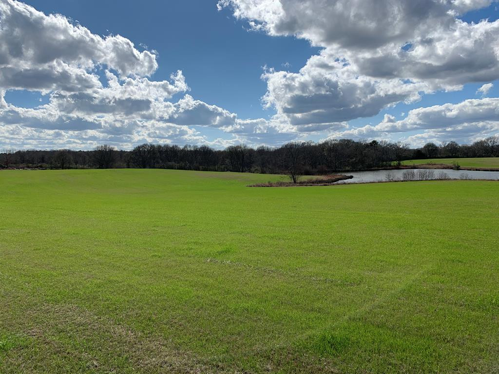 3300 Pepper House Road Gloster, MS 39638 - Photo 19 of 42 Photo 19