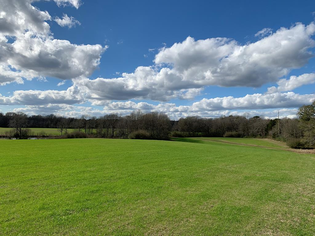 3300 Pepper House Road Gloster, MS 39638 - Photo 22 of 42 Photo 22