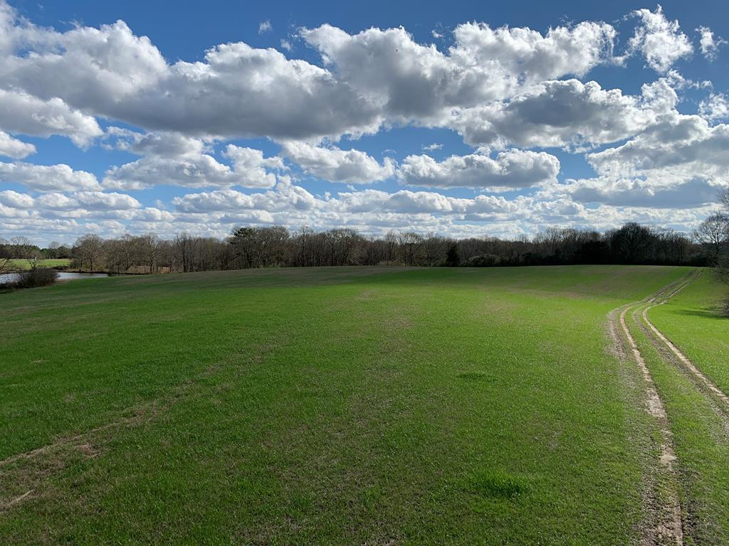 3300 Pepper House Road Gloster, MS 39638 - Photo 23 of 42 Photo 23